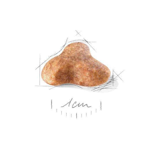 Royal Canin Alimento Seco para Perros Pug Adultos Bolsa 1,5Kg-2