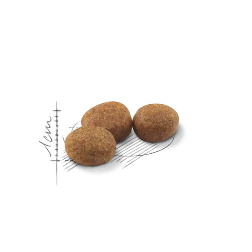 Royal Canin Sterilized 37 Alimento Seco Para Gatos Esterilizados 400g-3