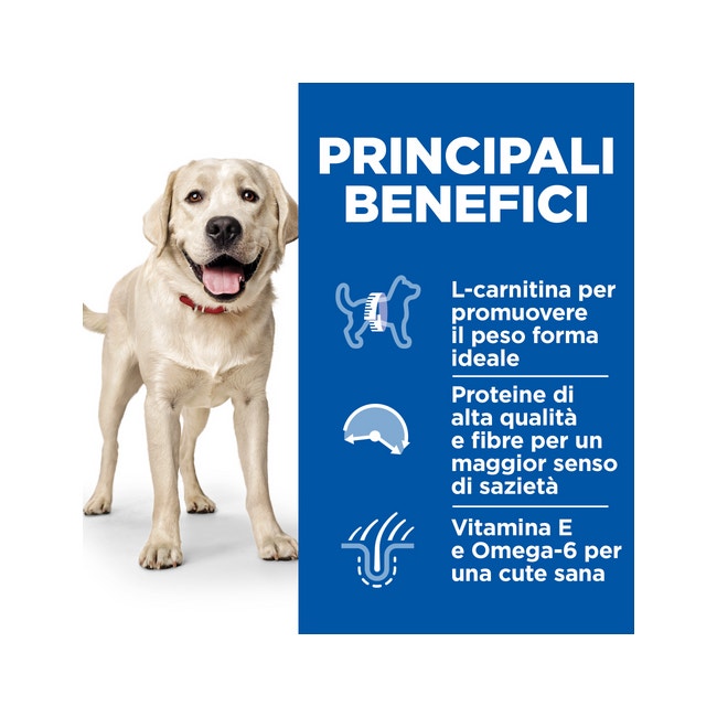 Hill's Science Plan Light Adult 1 - 6 Años Croquetas De Pollo Para Perros Grandes Bolsa 12kg-1