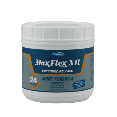 Chifa Max Flex XR Pienso Complementario Para Caballos 430g-1