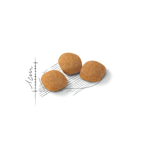 Royal Canin Feline Preference Protein Exigent Alimento Seco Para Gatos Bolsa 2kg-2