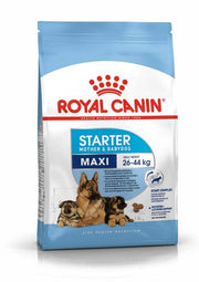 Royal Canin Starter Mother & Babydog Alimento seco para perros y cachorros tamaño grande bolsa de 4 kg-1