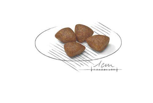 Royal Canin Starter Mother & Babydog Alimento Seco Para Perros Y Cachorros Tamaño Pequeño Bolsa 1kg-2