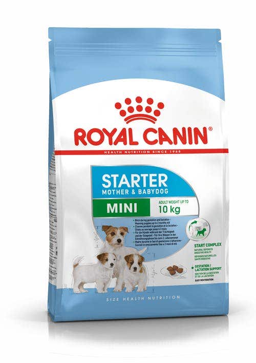 Royal Canin Starter Mother & Babydog Alimento Seco Para Perros Y Cachorros Tamaño Pequeño Bolsa 1kg-1