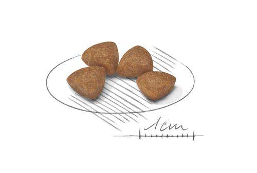 Royal Canin Alimento Seco Para Cachorros Tamaño Muy Pequeño Bolsa 1,5kg-4
