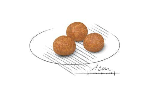 Royal Canin Croquetas Para Perros Adultos Tamaño Muy Pequeño Bolsa 1,5kg-6