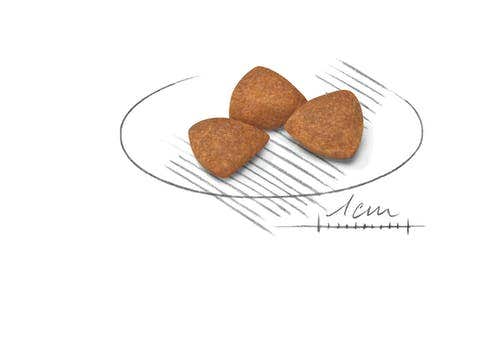 Royal Canin Croquetas Para Perros Adultos 12 Años + Tamaño Muy Pequeño Bolsa 0,5kg-2