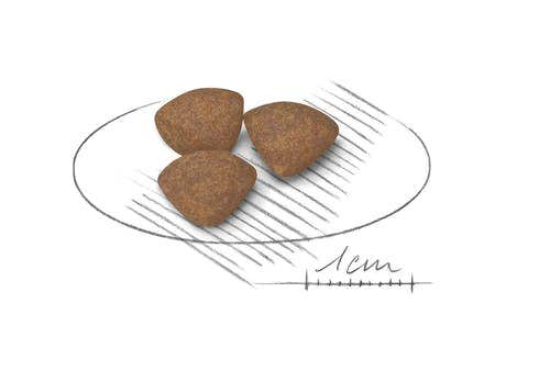 Royal Canin Croquetas Para Cachorros Tamaño Mini Bolsa 800g-3