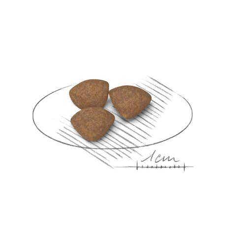 Royal Canin Croquetas Para Cachorros Tamaño Mini Bolsa 4kg-3