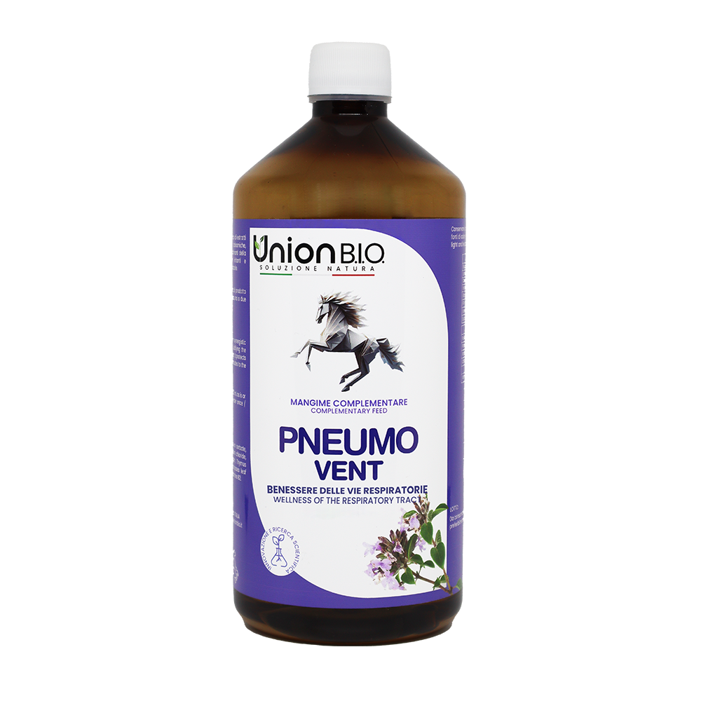 NEUMÁTICO VENT 1L-3