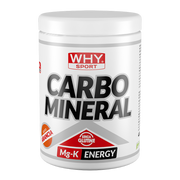 Whysport Carbo Mineral Naranja 400g-1