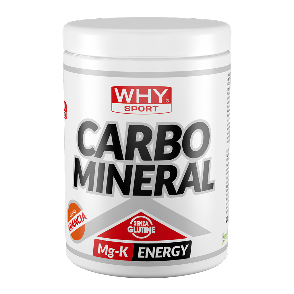 Whysport Carbo Mineral Naranja 400g-1