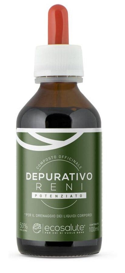 PURIFICACIÓN RENAL MEJORADA-1