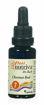 CASTAÑO BUD FLORI NUTRIVA-1