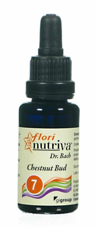 CASTAÑO BUD FLORI NUTRIVA-1