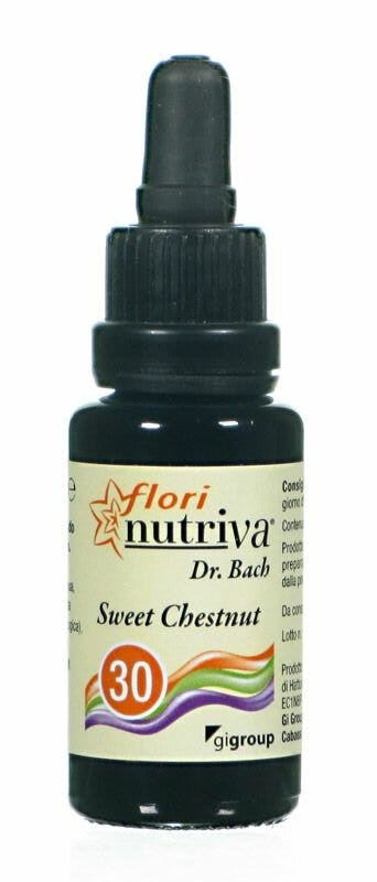 CASTAÑO FLORI NUTRIVA-1