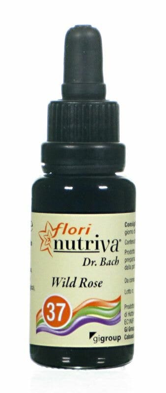 ROSA SALVAJE FLORI NUTRIVA-1