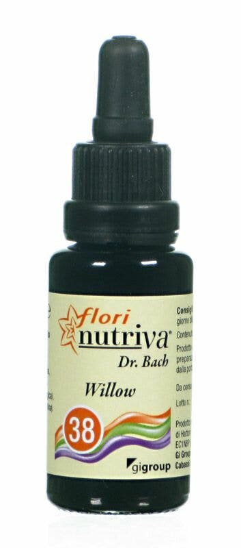 ALIMENTOS WILLOW FLORI-1