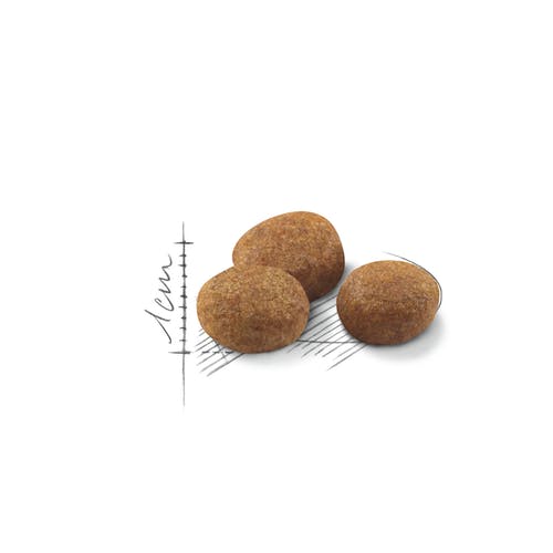 Royal Canin Feline Sterilized 7+ Croquetas Para Gatos Esterilizados 7 Años + Bolsa 1,5kg-3