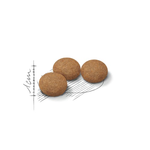 Royal Canin Feline Sterilized Aging 12+ Years Alimento Seco para Gatos Mayores Bolsa 400g-3