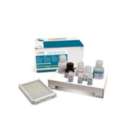 Prueba Ecuphar NV Prueba Leiscan Leishmania 32-1