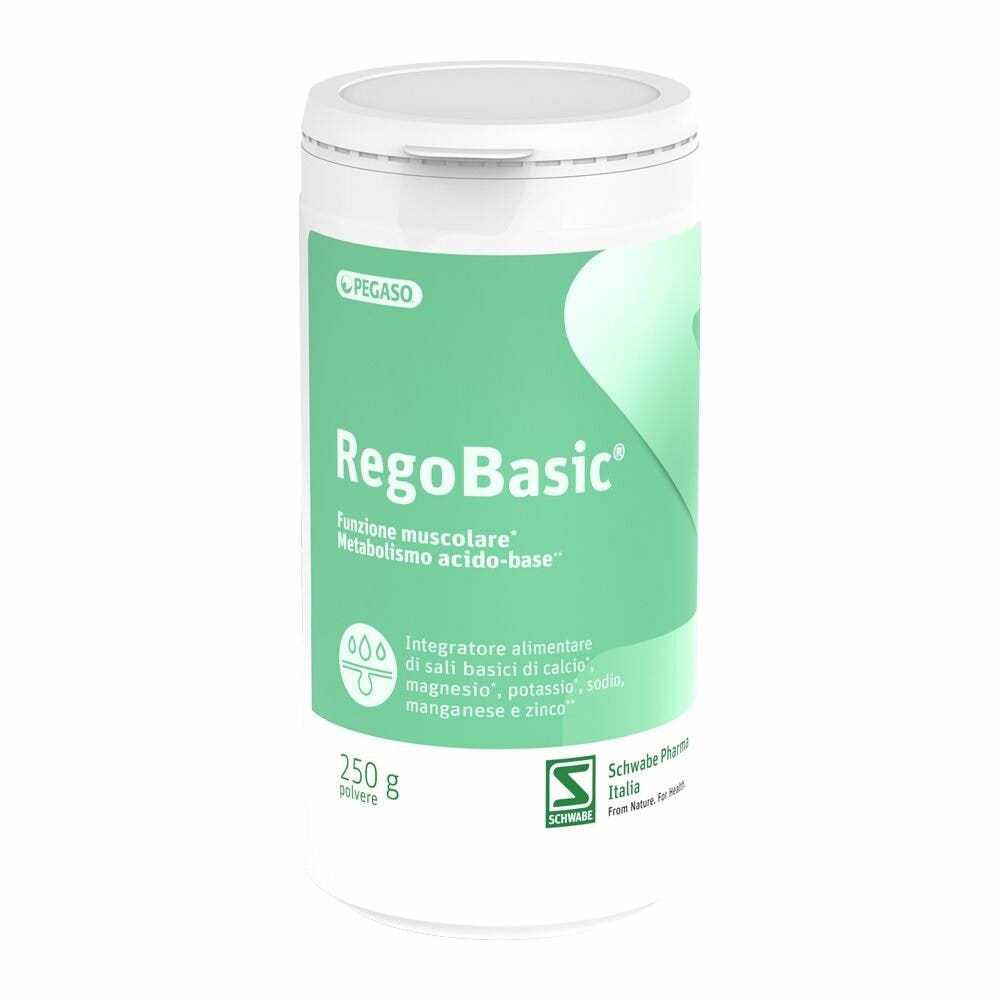 Pegaso Regobasic Polvo 250g-4