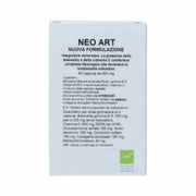 NEO ARTE NF 60CPS-1