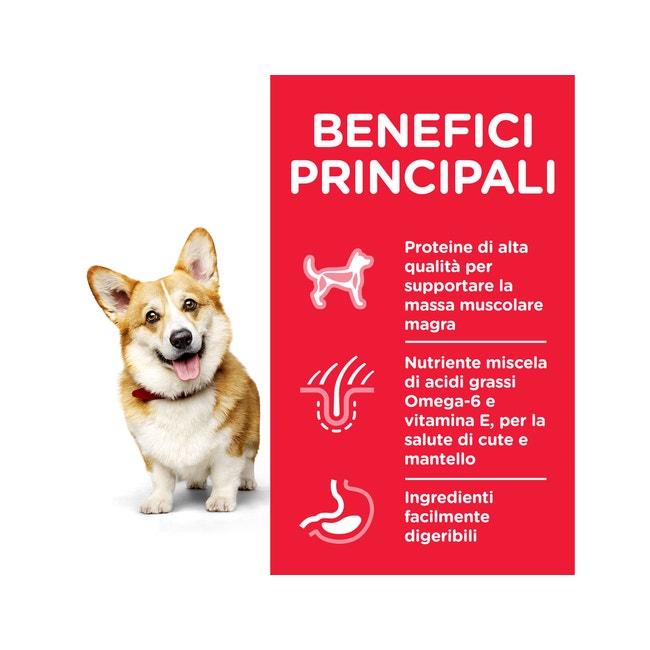 Hill's Science Plan Adult Small Y Mini Hasta 10 Kg Para Perros Croquetas De Pollo Bolsa De 1,5 Kg-3