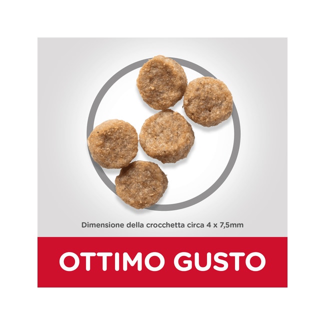 Hill's Science Plan Adultos 7+ Años Croquetas De Pollo Para Perros Tamaño Mini Y Bolsa Pequeña 300g-2