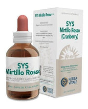 GOTAS DE ARÁNDANO SYS 50ML-1