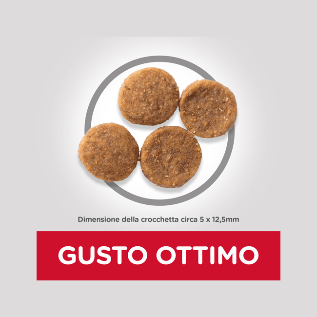 Hill's Science Plan Medium Croquetas Para Perros Adultos Con Pollo Bolsa 2,5 Kg-3
