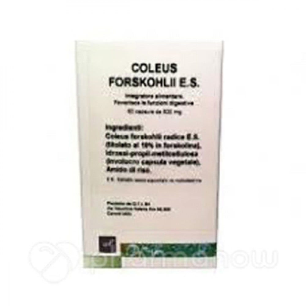 Coleus Forskohlii Extracto Seco 30 Cpsulas-1