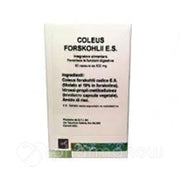 Coleus Forskohlii Extracto Seco 30 Cpsulas-1