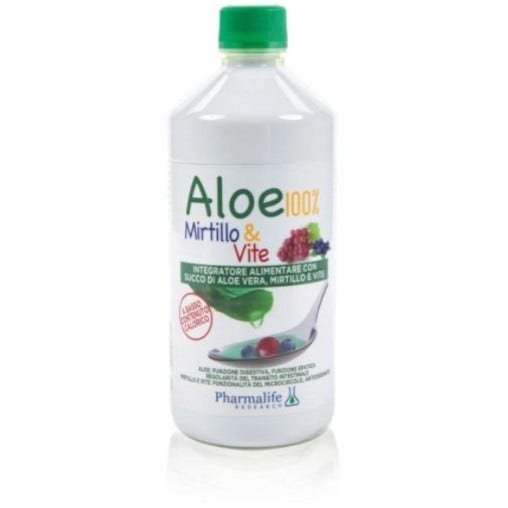 Aloe 100% Arndano y Vid 1 Litro-1