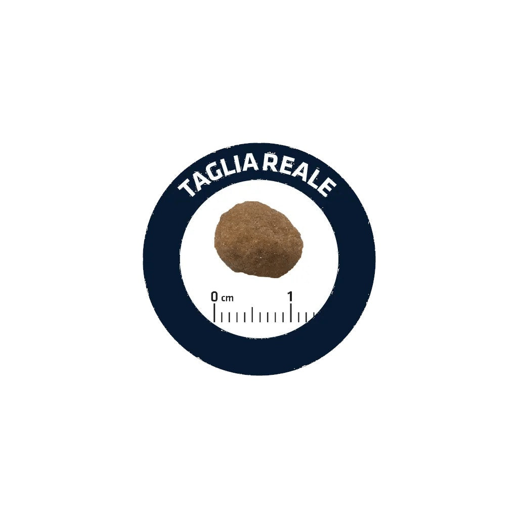 Advance Adult Croquetas De Pollo Y Arroz Para Gatos Adultos 1-10 Años Bolsa 1,5kg-2