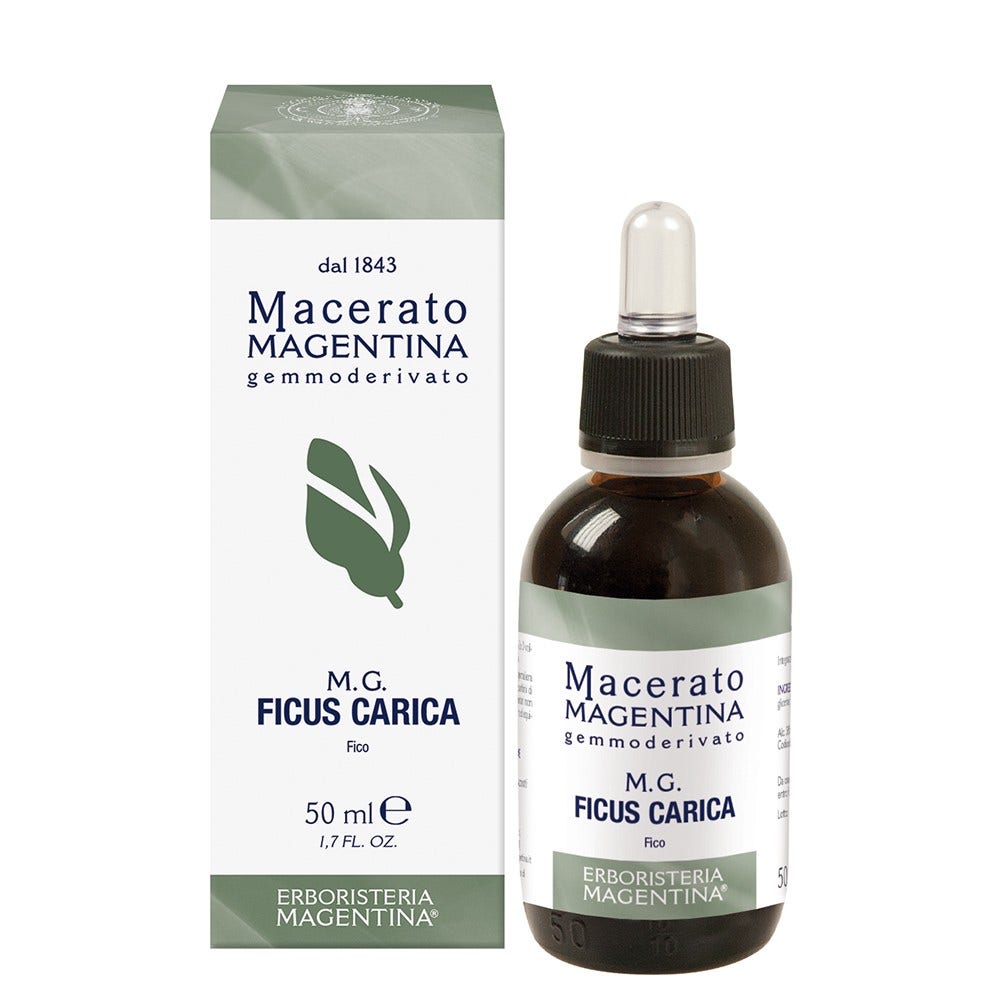 Magentina Macerada MG Ficus Carica 50ml-1