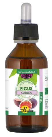 FICUS CARGA GEMMODERIV 100ML-1