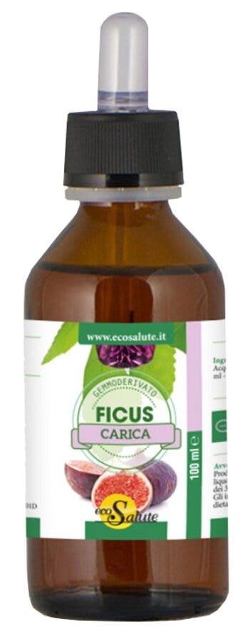FICUS CARGA GEMMODERIV 100ML-1