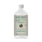 Aloe Vera + Jugo De Aloe / Arándano 1 Litro-3
