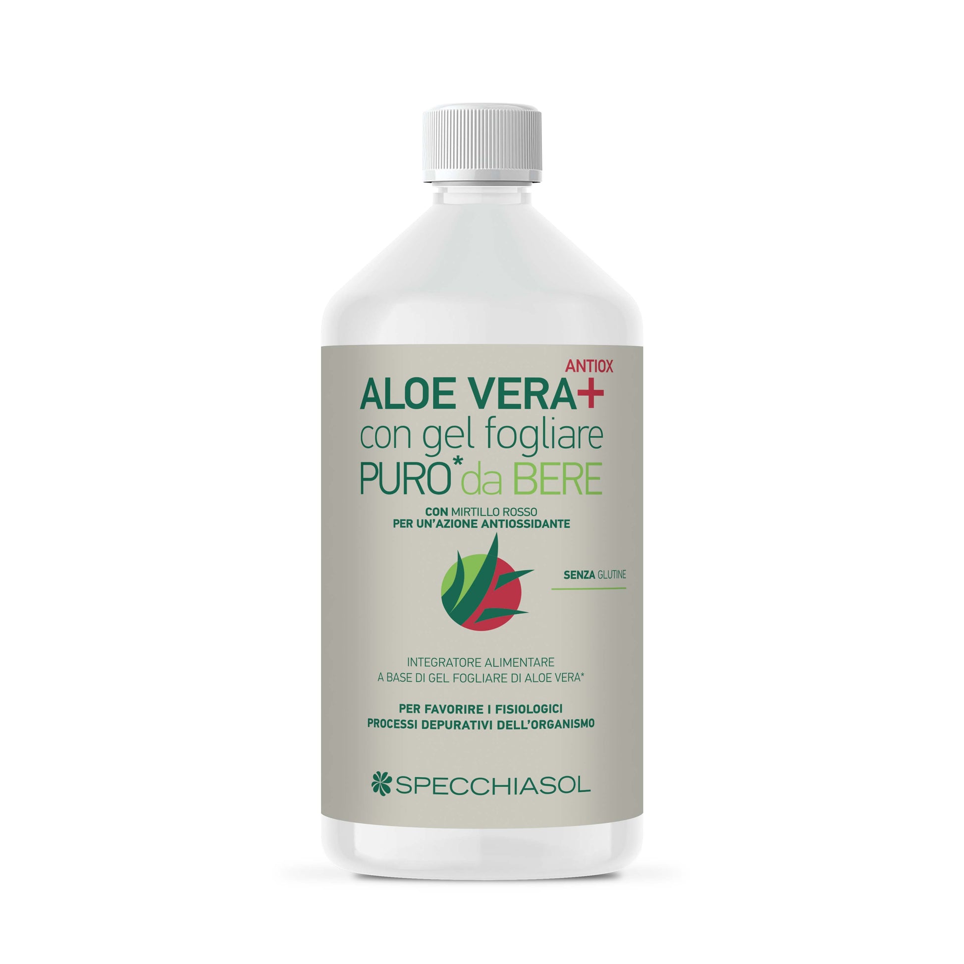 Aloe Vera + Jugo De Aloe / Arándano 1 Litro-3