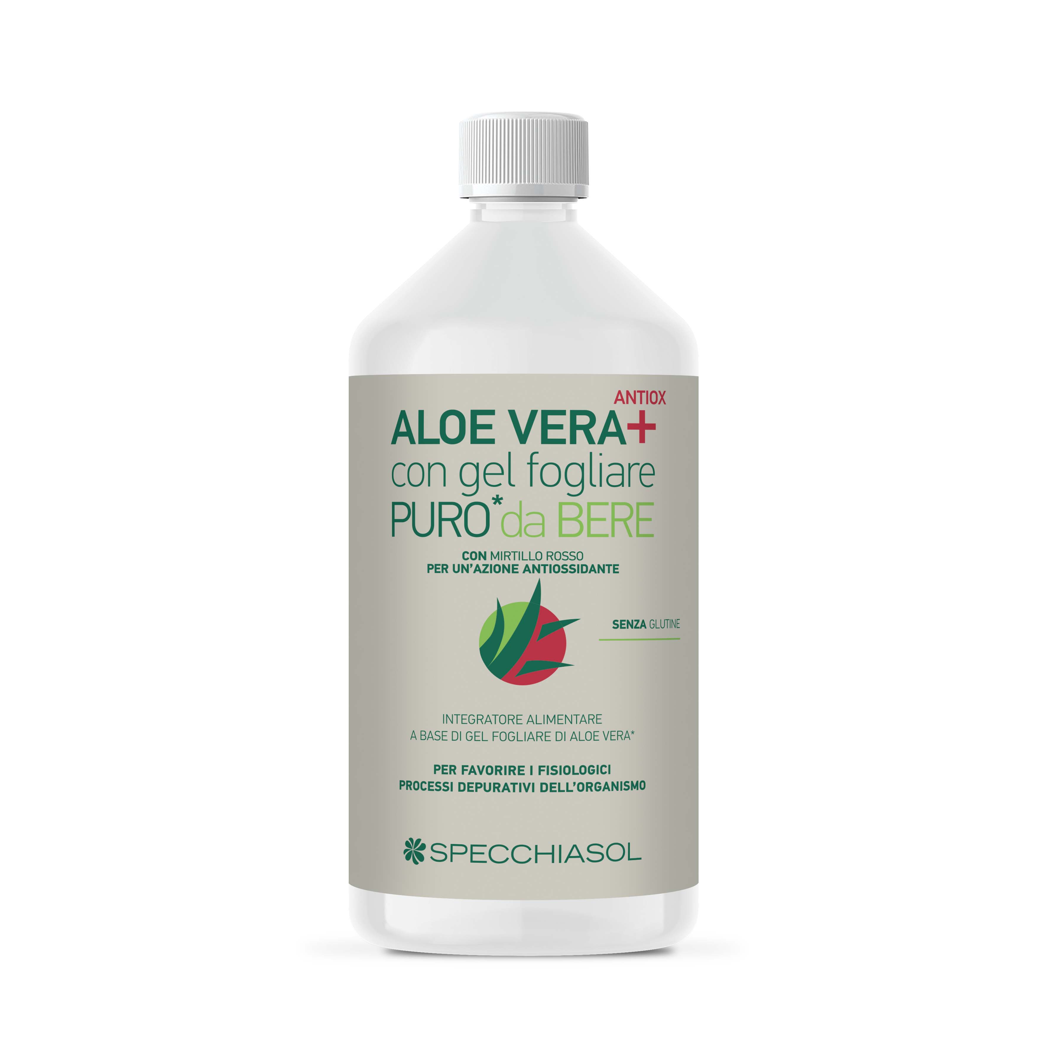 Aloe Vera + Jugo De Aloe / Arándano 1 Litro-3