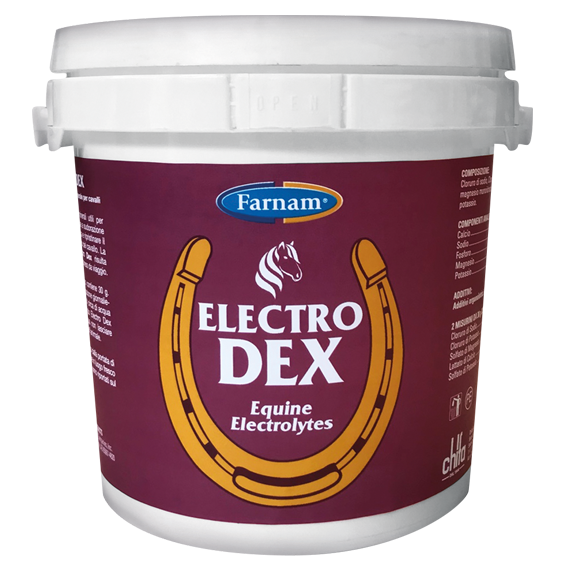 Electro Dex Pienso Complementario Para Caballos De Rehidratación 9Kg-1