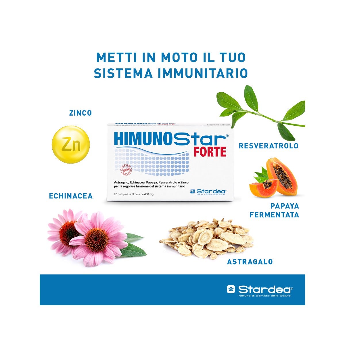Himunostar Forte 20 Comprimidos-6