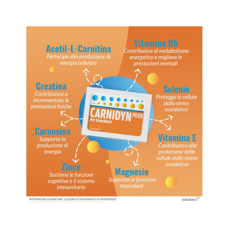Carnidyn Plus 20 Sobres-21