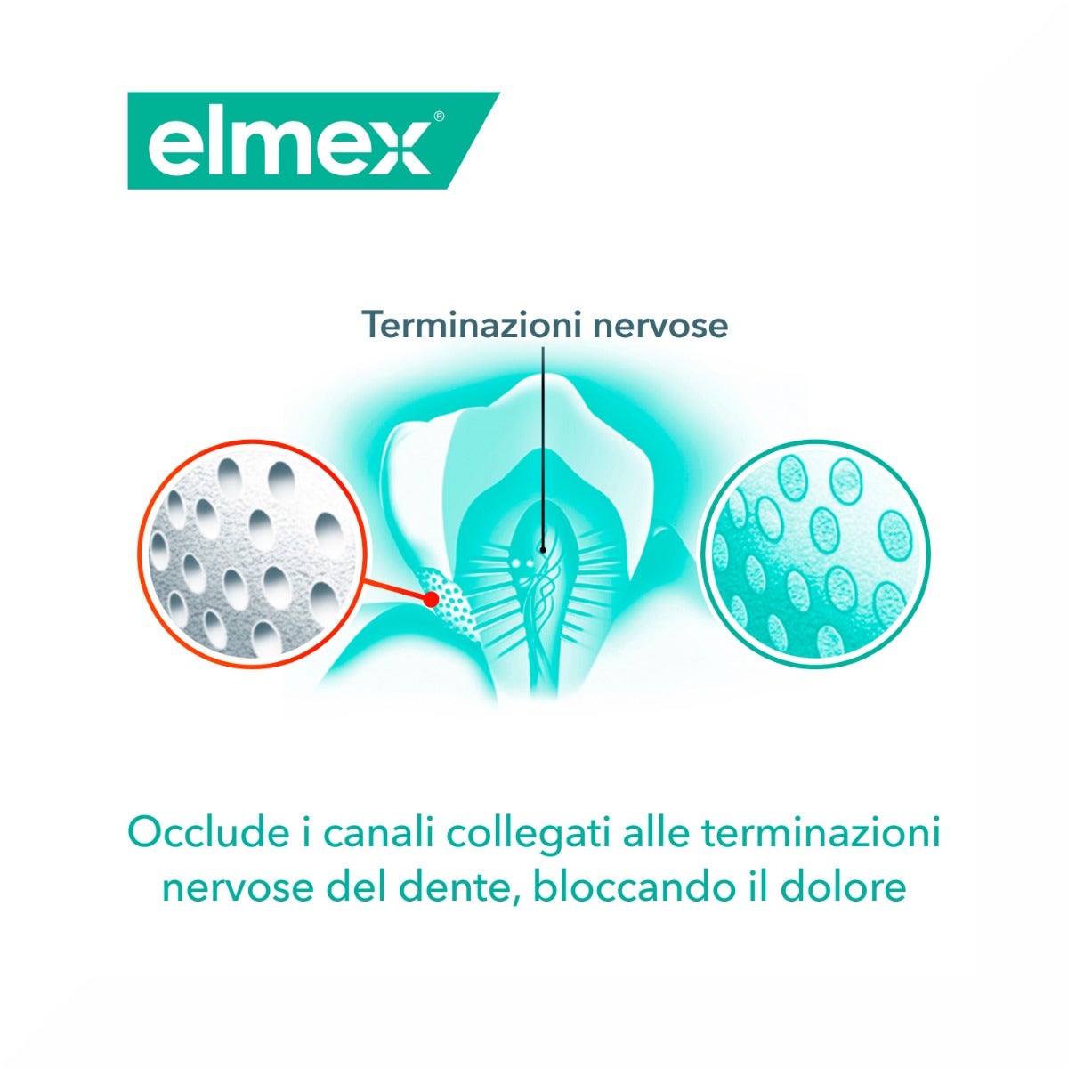 Elmex Sensitive Dentífrico Blanqueador Profesional 75ml-10