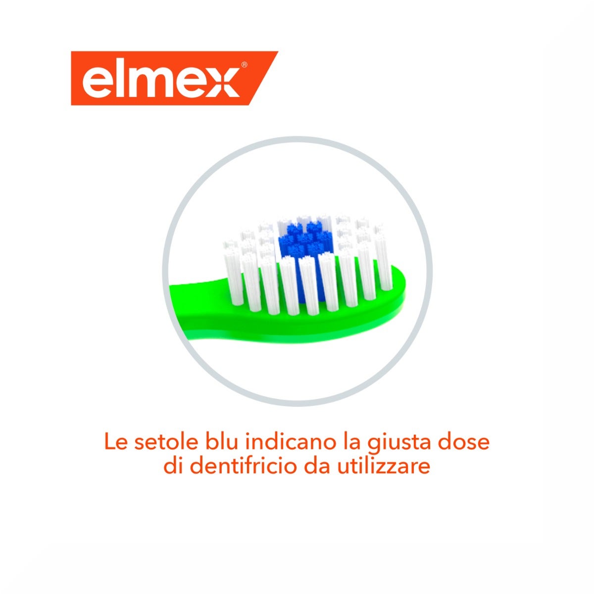 Elmex Bimbi Nuevo Cepillo de Dientes 3-6 Años-5