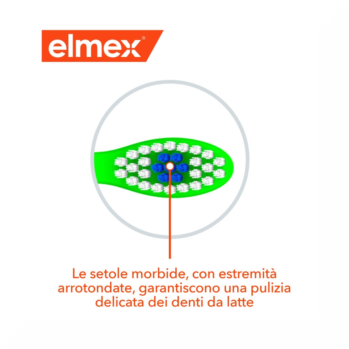 Elmex Bimbi Nuevo Cepillo de Dientes 3-6 Años-8