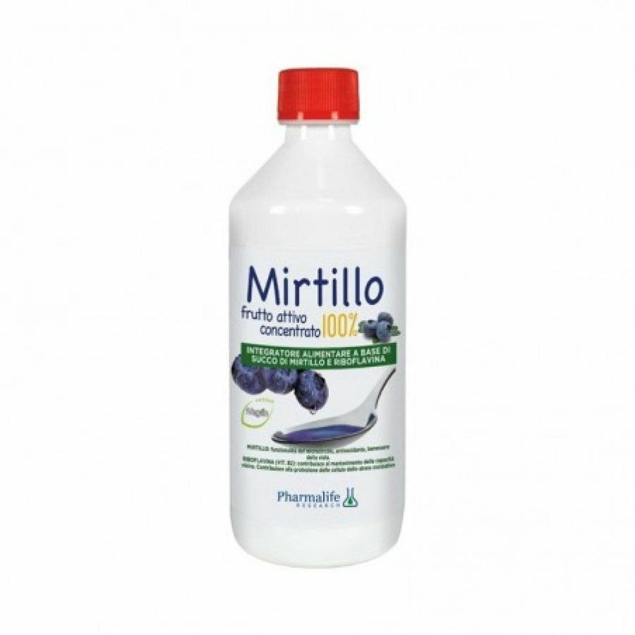 ARÁNDANO 100% FRUTA ATT CONC-1