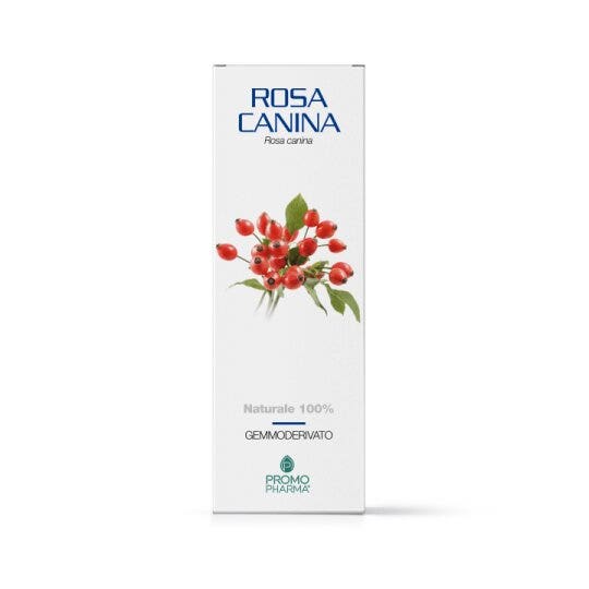 GEMO DE ROSA MOSQUETA 50ML-2