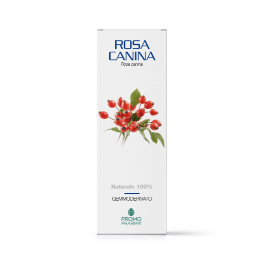 GEMO DE ROSA MOSQUETA 50ML-1
